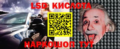 Альфа ПВП Ставрополь
